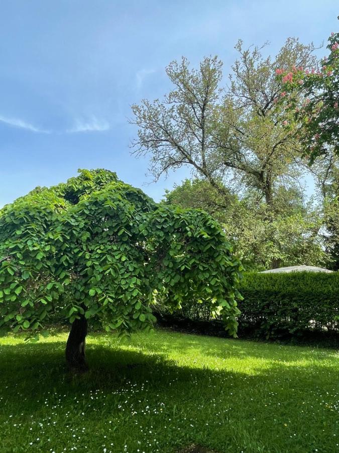 Villa Mura Gite Luxe Avec Piscine Et Spa Campagne Et Grand Air Nouvelle Aquitaine Correze Neuvic  Kültér fotó